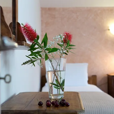 Tatil parkı Pantheon